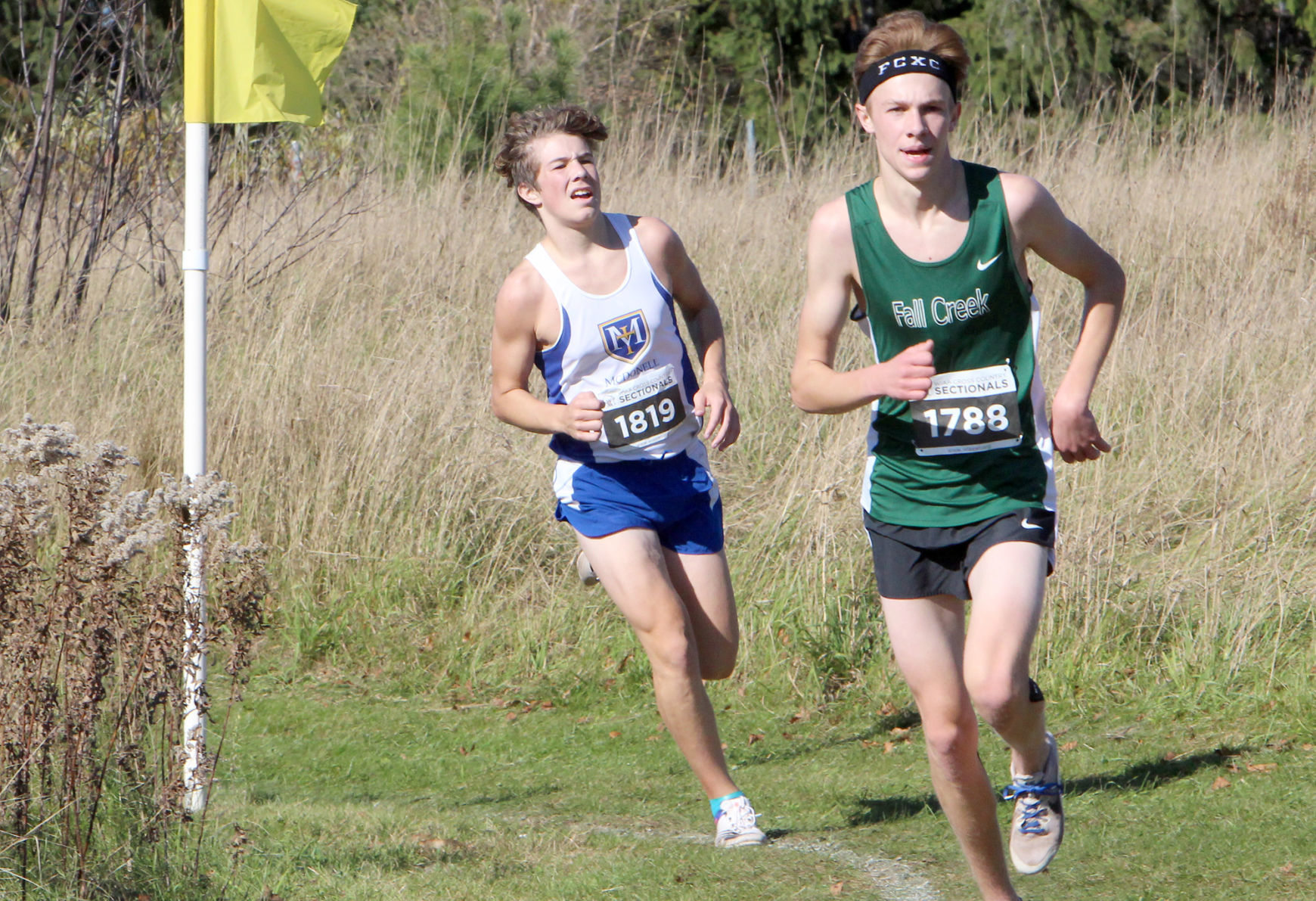 Division 3 Cross Country Sectionals in Boyceville 10-26-19